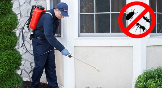 Nallıhan Kene İlaçlama böcek ilaçlama ve haşere kontrolü — ilaclama-tr.com